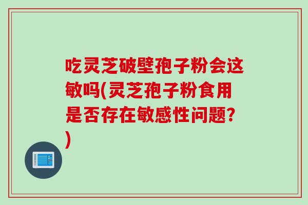 吃灵芝破壁孢子粉会这敏吗(灵芝孢子粉食用是否存在敏感性问题？)