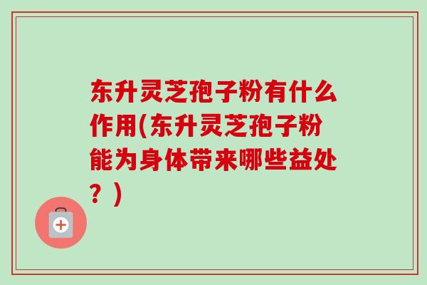 东升灵芝孢子粉有什么作用(东升灵芝孢子粉能为身体带来哪些益处？)