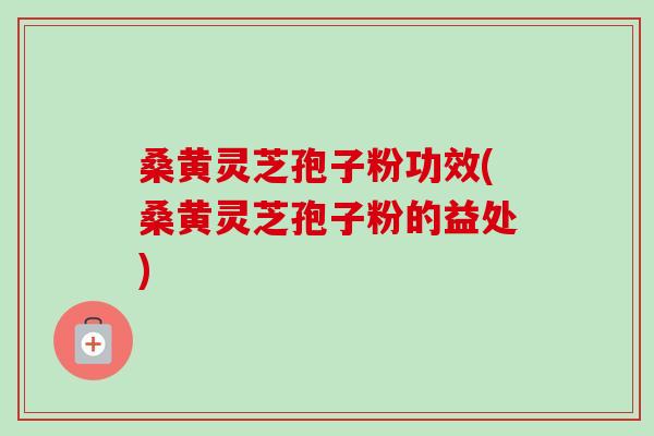 桑黄灵芝孢子粉功效(桑黄灵芝孢子粉的益处) 桑黄灵芝孢子粉功效(桑黄灵芝孢子粉的益处)