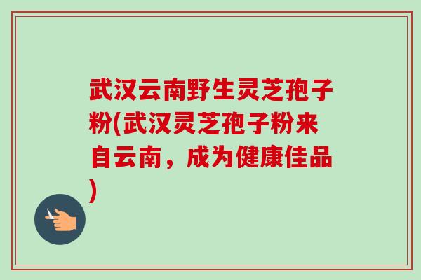 武汉云南野生灵芝孢子粉(武汉灵芝孢子粉来自云南，成为健康佳品)