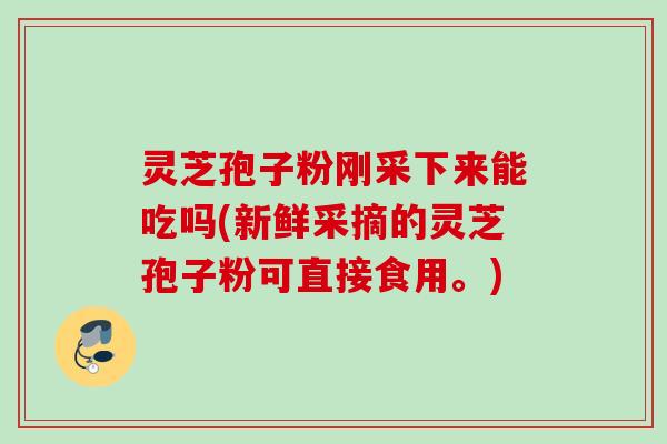 灵芝孢子粉刚采下来能吃吗(新鲜采摘的灵芝孢子粉可直接食用。)