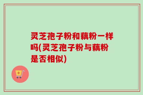 灵芝孢子粉和藕粉一样吗(灵芝孢子粉与藕粉是否相似)