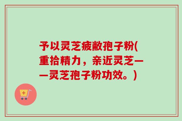 予以灵芝疲敝孢子粉(重拾精力，亲近灵芝——灵芝孢子粉功效。)