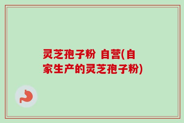灵芝孢子粉 自营(自家生产的灵芝孢子粉) 灵芝孢子粉 自营(自家生产的灵芝孢子粉)