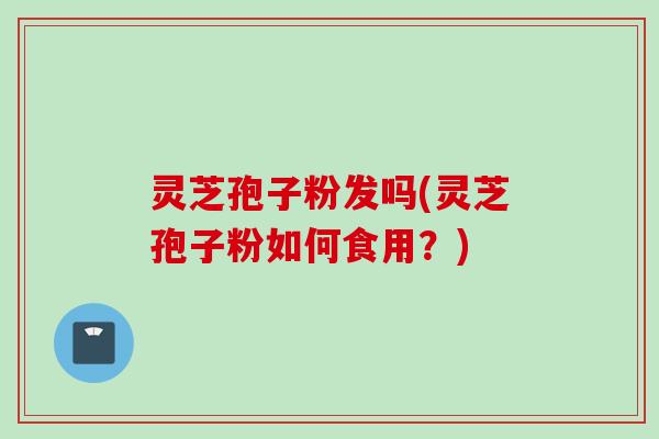 灵芝孢子粉发吗(灵芝孢子粉如何食用？)