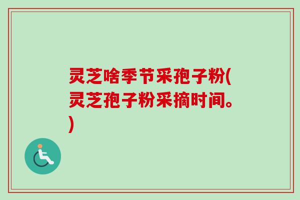 灵芝啥季节采孢子粉(灵芝孢子粉采摘时间。)