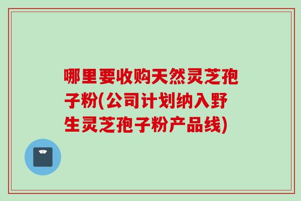 哪里要收购天然灵芝孢子粉(公司计划纳入野生灵芝孢子粉产品线)