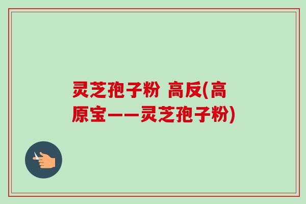 灵芝孢子粉 高反(高原宝——灵芝孢子粉)