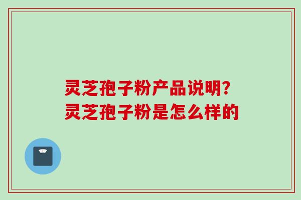 灵芝孢子粉产品说明？灵芝孢子粉是怎么样的
