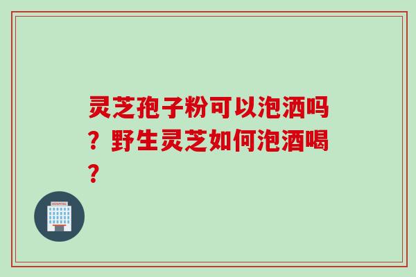 灵芝孢子粉可以泡洒吗？野生灵芝如何泡酒喝？