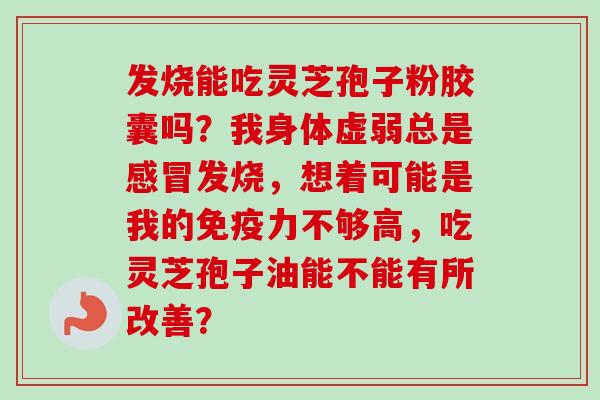 发烧能吃灵芝孢子粉胶囊吗？我身体虚弱总是感冒发烧，想着可能是我的免疫力不够高，吃灵芝孢子油能不能有所改善？