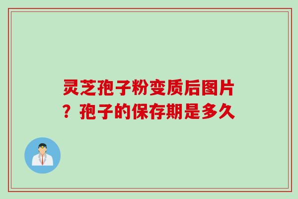 灵芝孢子粉变质后图片？孢子的保存期是多久