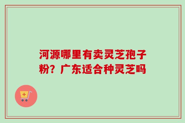 河源哪里有卖灵芝孢子粉？广东适合种灵芝吗