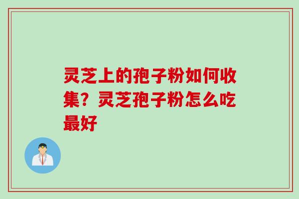 灵芝上的孢子粉如何收集？灵芝孢子粉怎么吃最好