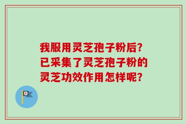 我服用灵芝孢子粉后？已采集了灵芝孢子粉的灵芝功效作用怎样呢？