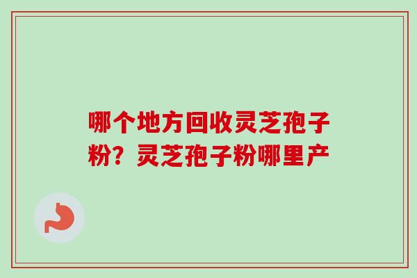 哪个地方回收灵芝孢子粉？灵芝孢子粉哪里产