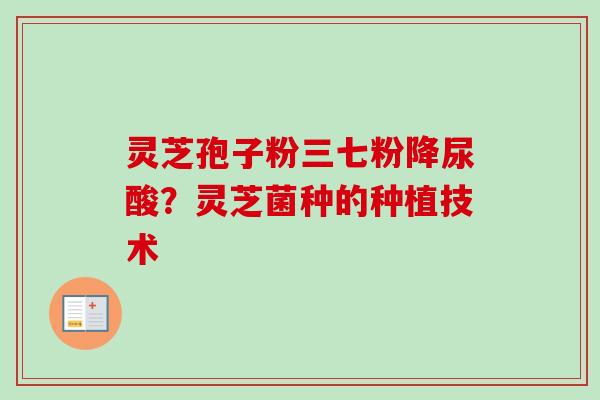 灵芝孢子粉三七粉降尿酸？灵芝菌种的种植技术