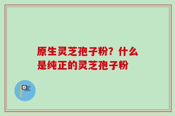 原生灵芝孢子粉？什么是纯正的灵芝孢子粉