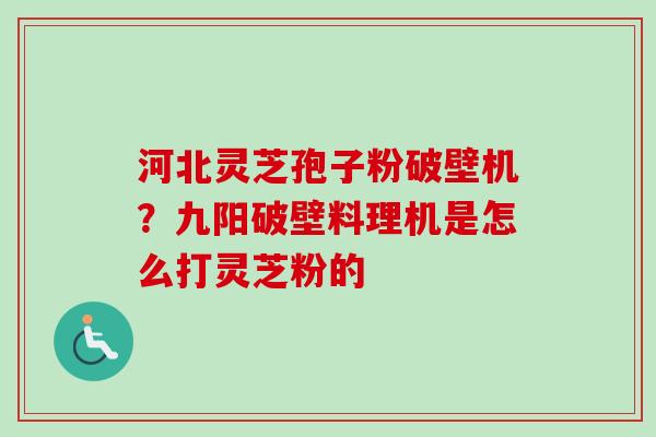 河北灵芝孢子粉破壁机？九阳破壁料理机是怎么打灵芝粉的