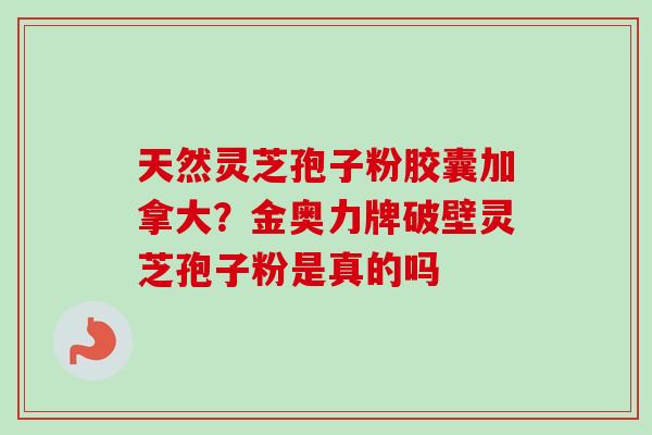 天然灵芝孢子粉胶囊加拿大？金奥力牌破壁灵芝孢子粉是真的吗