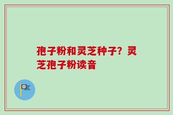 孢子粉和灵芝种子?灵芝孢子粉读音 孢子粉和灵芝种子?灵芝孢子粉读音