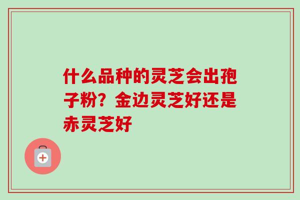 什么品种的灵芝会出孢子粉？金边灵芝好还是赤灵芝好