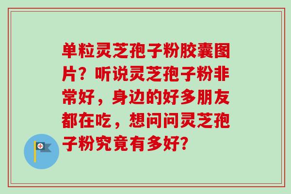 单粒灵芝孢子粉胶囊图片？听说灵芝孢子粉非常好，身边的好多朋友都在吃，想问问灵芝孢子粉究竟有多好？