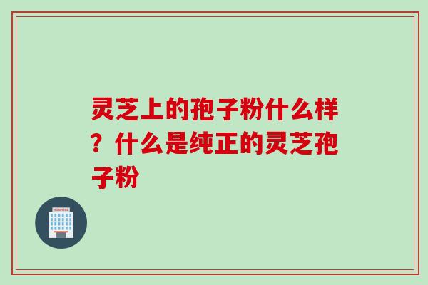 灵芝上的孢子粉什么样？什么是纯正的灵芝孢子粉