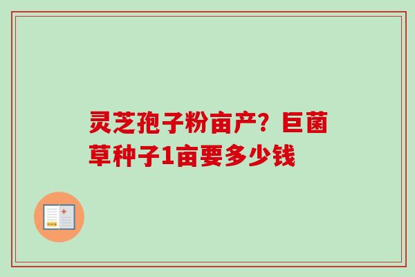 灵芝孢子粉亩产？巨菌草种子1亩要多少钱