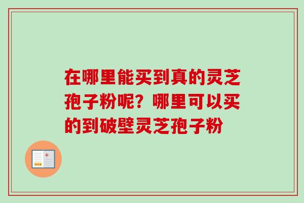 在哪里能买到真的灵芝孢子粉呢？哪里可以买的到破壁灵芝孢子粉