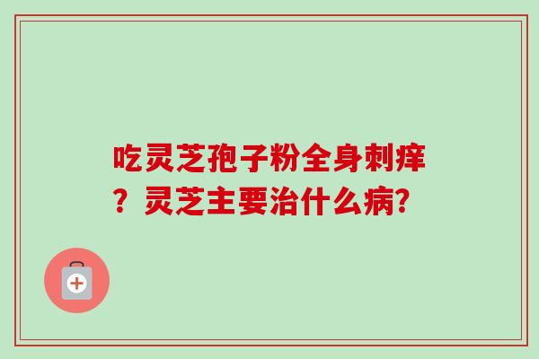 吃灵芝孢子粉全身刺痒？灵芝主要治什么病？