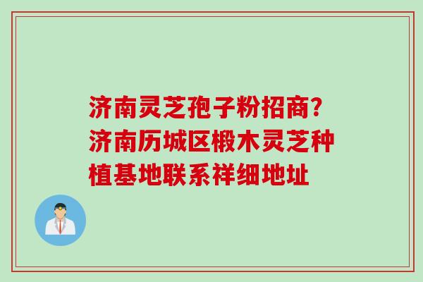 济南灵芝孢子粉招商？济南历城区椴木灵芝种植基地联系祥细地址