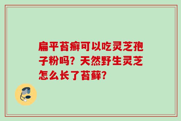 扁平苔癣可以吃灵芝孢子粉吗?天然野生灵芝怎么长了苔藓? 扁平苔癣可以吃灵芝孢子粉吗?天然野生灵芝怎么长了苔藓?