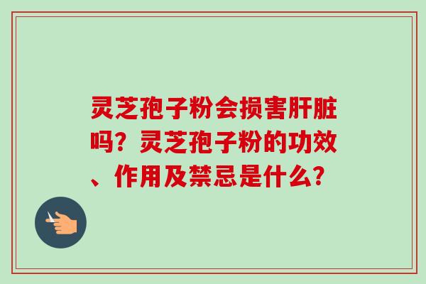 灵芝孢子粉会损害肝脏吗？灵芝孢子粉的功效、作用及禁忌是什么？