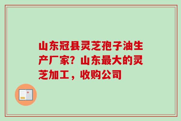 山东冠县灵芝孢子油生产厂家？山东最大的灵芝加工，收购公司