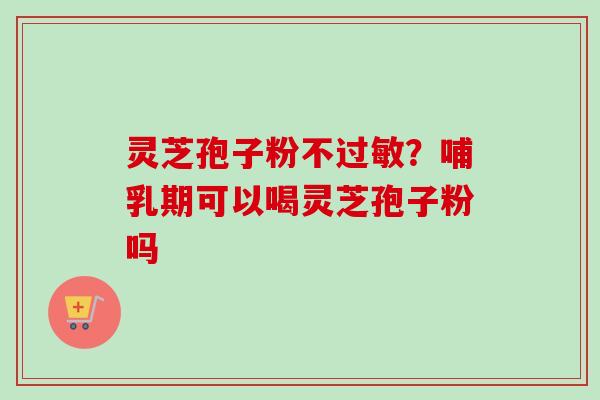 灵芝孢子粉不过敏？哺乳期可以喝灵芝孢子粉吗