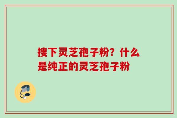 搜下灵芝孢子粉？什么是纯正的灵芝孢子粉
