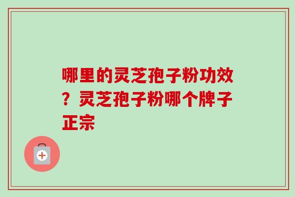 哪里的灵芝孢子粉功效？灵芝孢子粉哪个牌子正宗