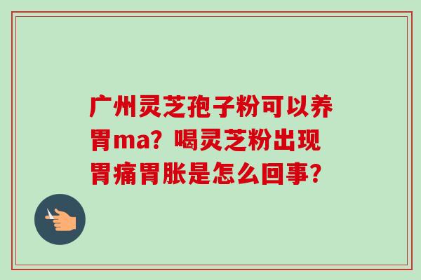 广州灵芝孢子粉可以养胃ma？喝灵芝粉出现胃痛胃胀是怎么回事？