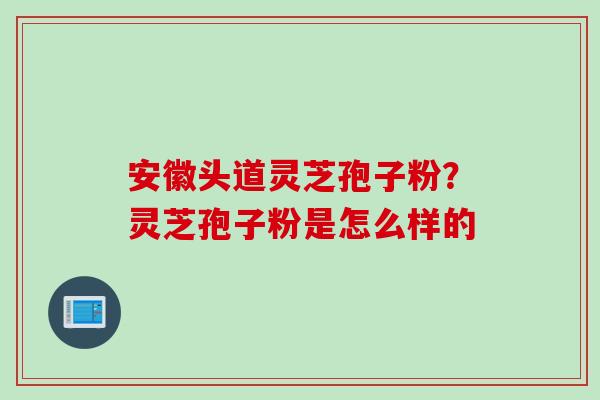 安徽头道灵芝孢子粉？灵芝孢子粉是怎么样的