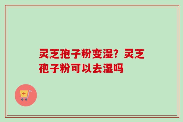 灵芝孢子粉变湿?灵芝孢子粉可以去湿吗 灵芝孢子粉变湿?灵芝孢子粉可以去湿吗