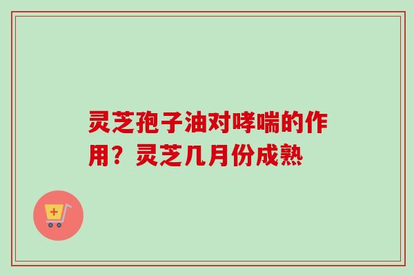 灵芝孢子油对哮喘的作用？灵芝几月份成熟