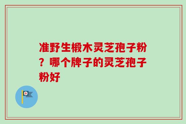 准野生椴木灵芝孢子粉？哪个牌子的灵芝孢子粉好