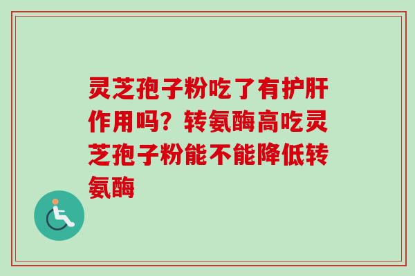 灵芝孢子粉吃了有护肝作用吗？转氨酶高吃灵芝孢子粉能不能降低转氨酶