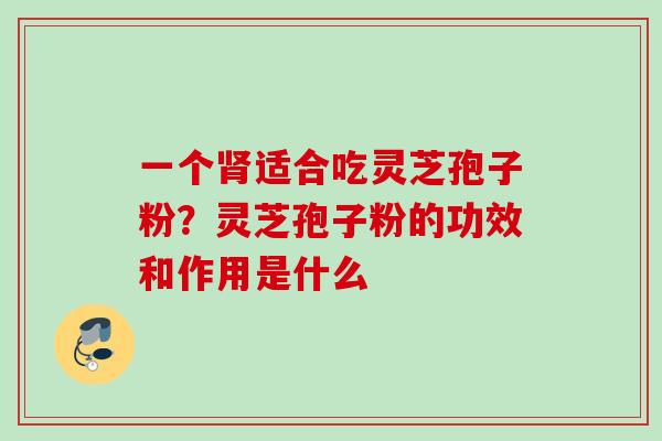 一个肾适合吃灵芝孢子粉？灵芝孢子粉的功效和作用是什么