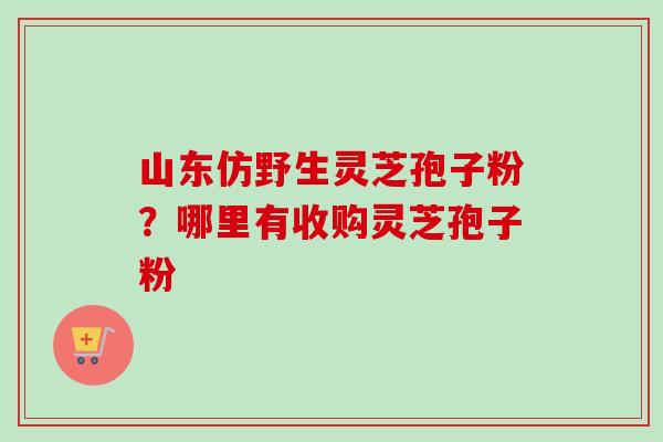 山东仿野生灵芝孢子粉？哪里有收购灵芝孢子粉