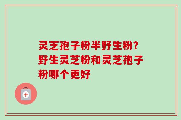 灵芝孢子粉半野生粉？野生灵芝粉和灵芝孢子粉哪个更好