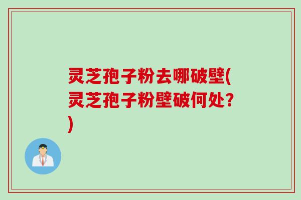 灵芝孢子粉去哪破壁(灵芝孢子粉壁破何处？)