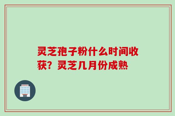 灵芝孢子粉什么时间收获？灵芝几月份成熟