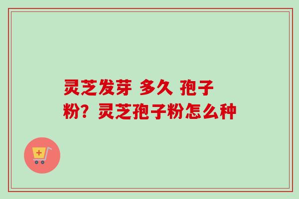 灵芝发芽 多久 孢子粉？灵芝孢子粉怎么种
